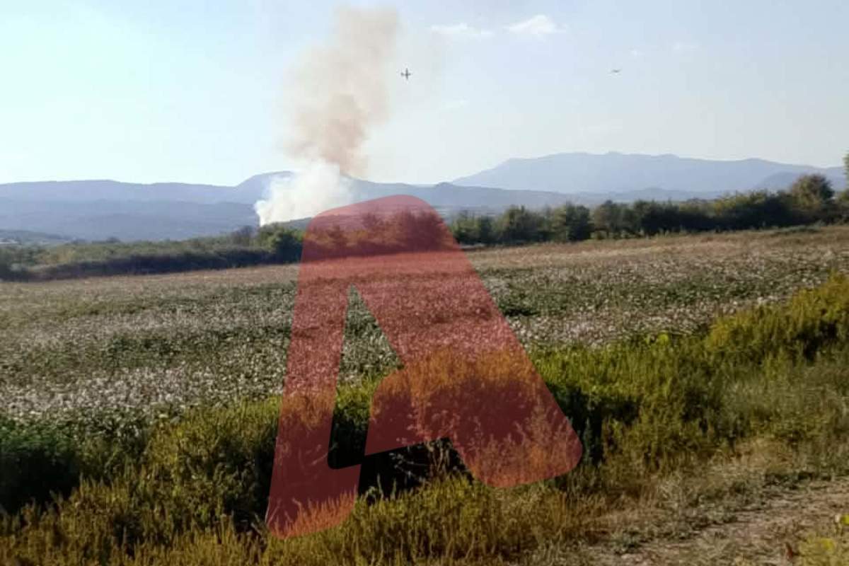 Φωτιά στο Στρυμωνικό Σερρών