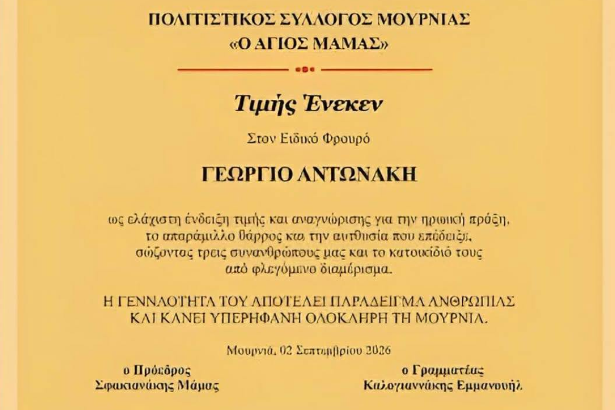 τιμητικό αστυνομικός φωτιά 