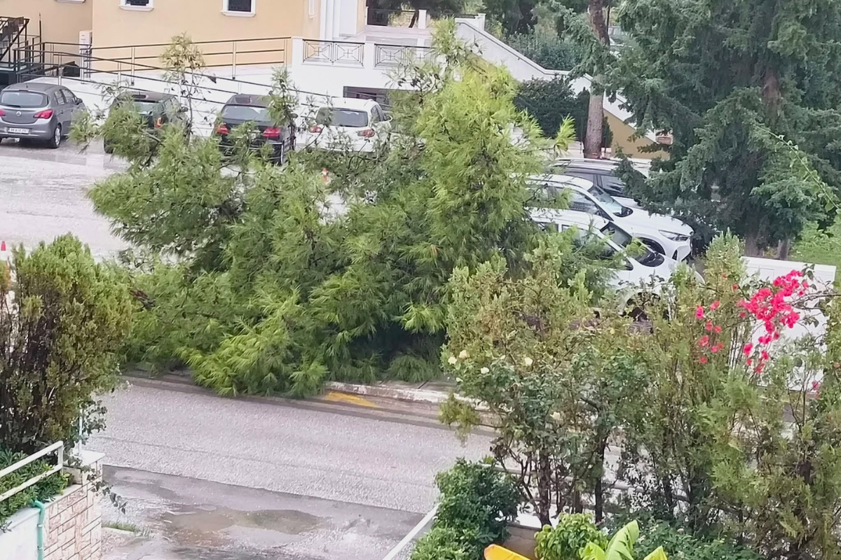 «Άγιο» είχε ο ναός – Δέντρο έπεσε στην είσοδο εν μέσω κακοκαιρίας