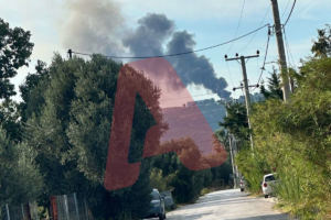 φωτιά μαραθώνας καπνός