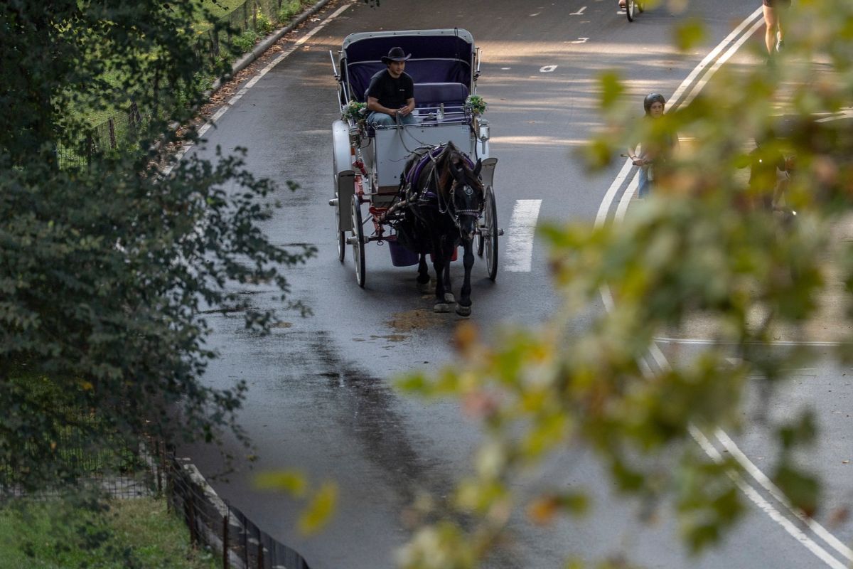 Τέλος εποχής για τις άμαξες του Central Park