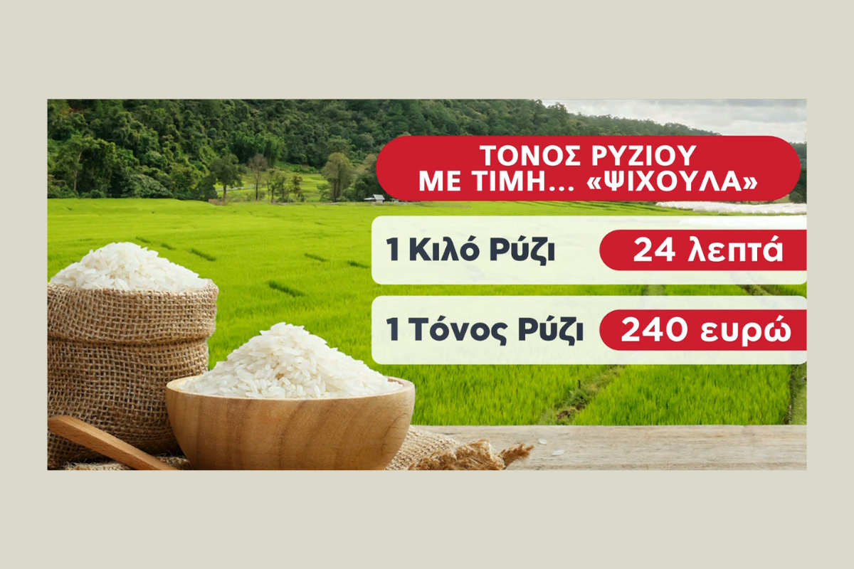 Κόστη και εισαγωγές δοκιμάζουν το ελληνικό ρύζι