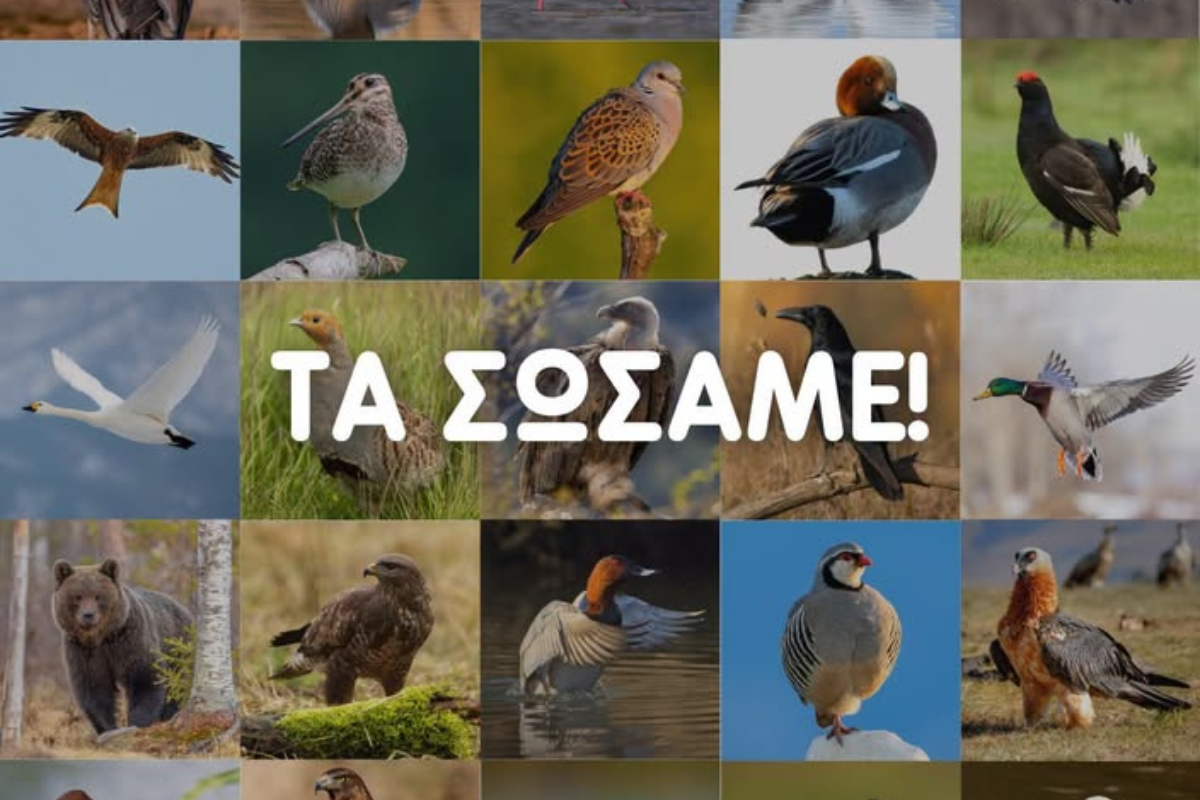 Απαγόρευση των μολύβδινων σκαγιών σε ολόκληρη την ΕΕ!