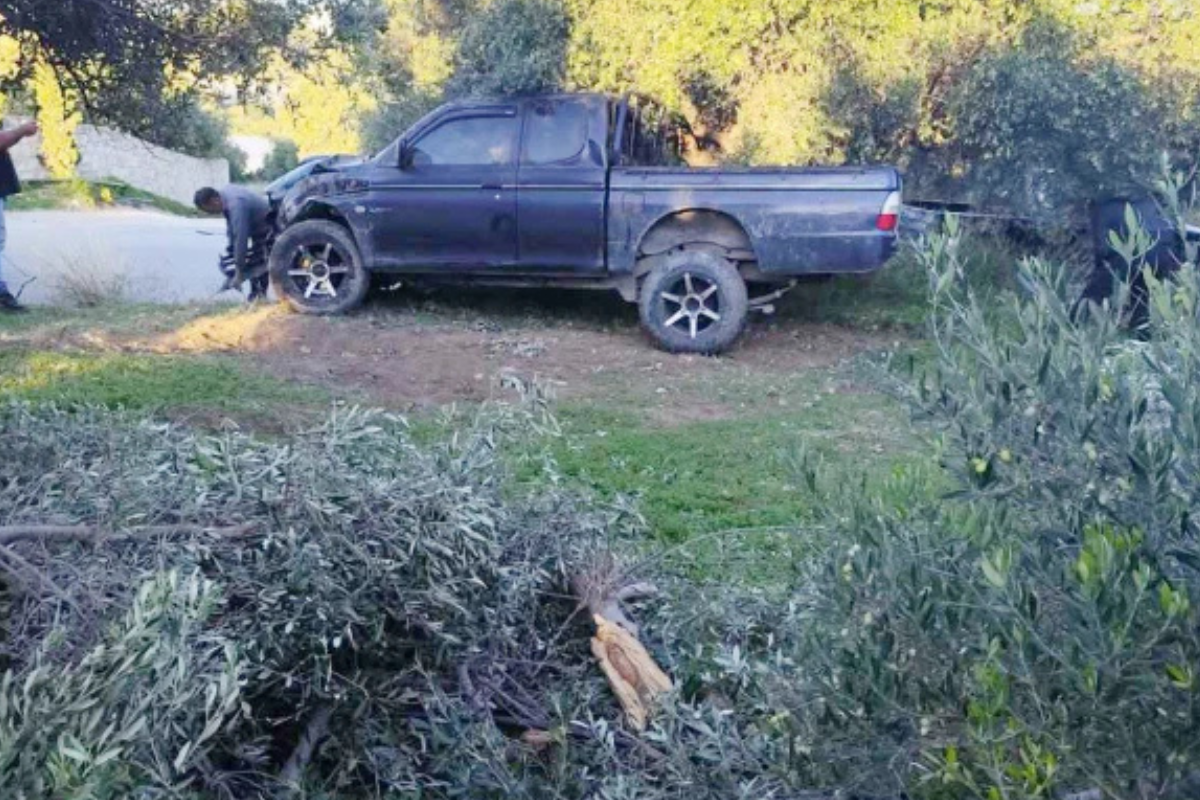 Σοκαριστικό τροχαίο στην Ιεράπετρα: Το αγροτικό ξερίζωσε τρεις ελιές για να αποφύγει σκυλί