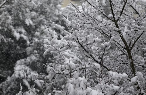 Χειμερινό σκηνικό – Χιόνια και πτώση θερμοκρασίας